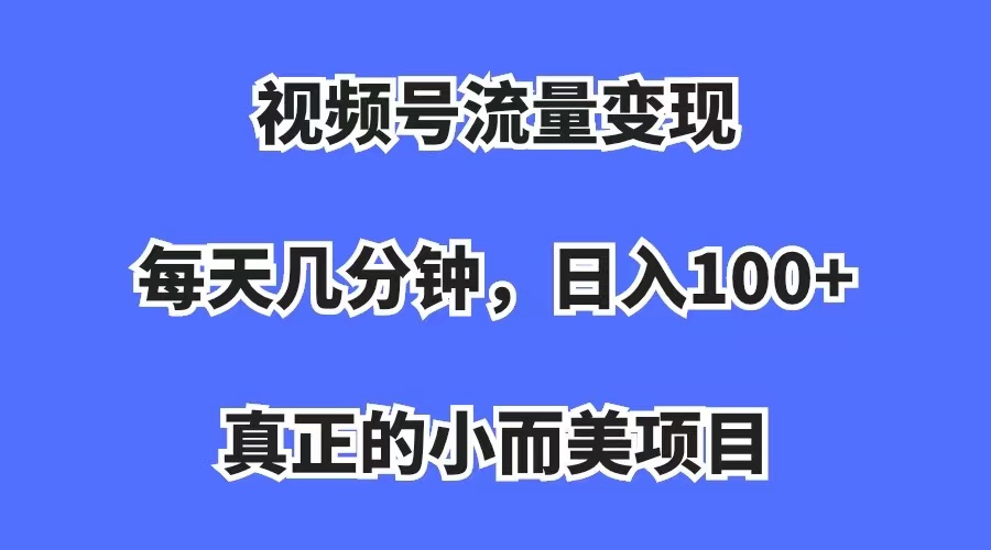 视频号流量变现，每天几分钟，收入100+，真正的小而美项目-天行资源库