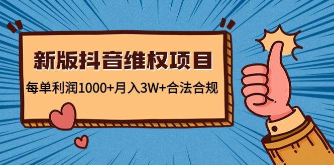 新版抖音维全项目：每单利润1000+月入3W+合法合规！-天行资源库