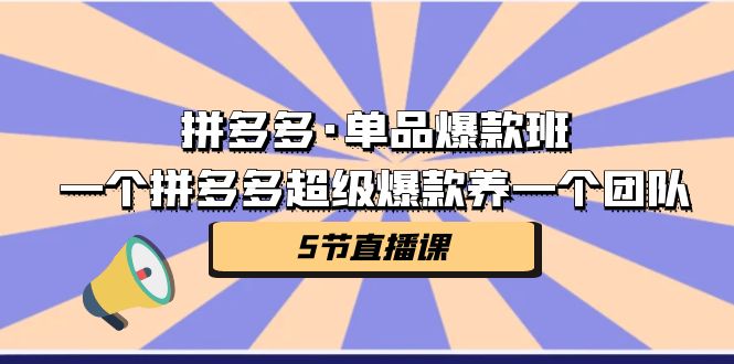 拼多多·单品爆款班，一个拼多多超级爆款养一个团队（5节直播课）-天行资源库