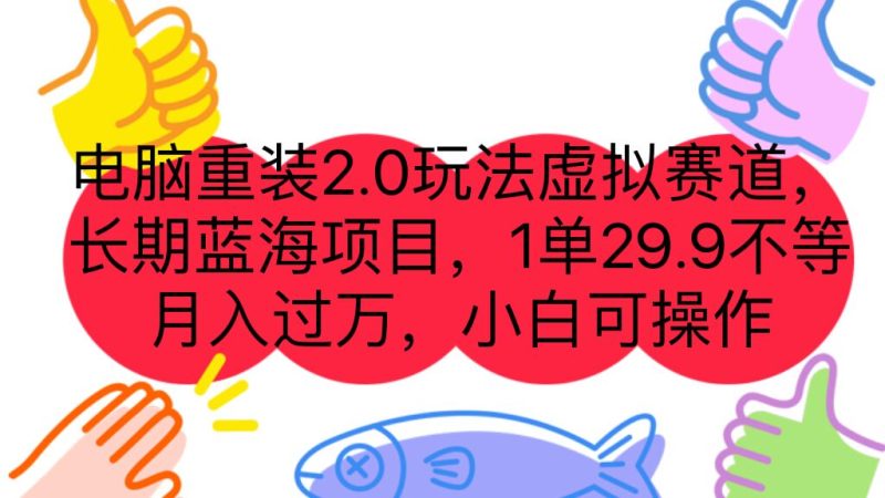 电脑重装2.0玩法虚拟赛道，长期蓝海项目 一单29.9不等 月入过万 小白可操作-天行资源库