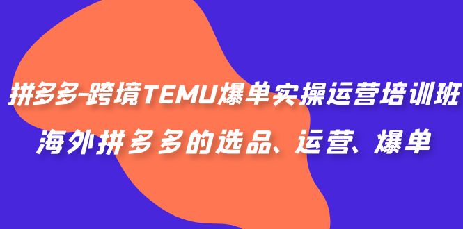 拼多多-跨境TEMU爆单实操运营培训班，海外拼多多的选品、运营、爆单-天行资源库