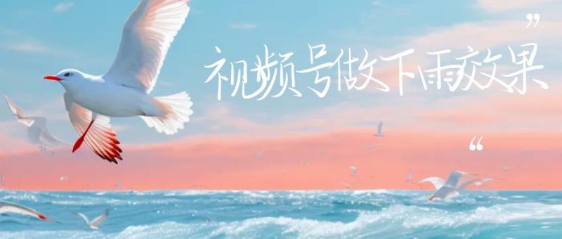 视频号做下雨视频一个账号一周涨粉10W+年入100w-天行资源库