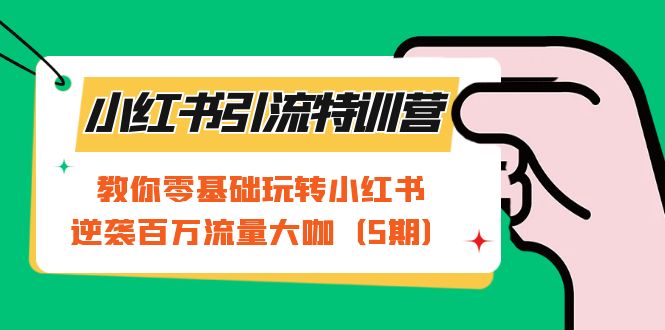 小红书引流特训营-第5期：教你零基础玩转小红书，逆袭百万流量大咖-天行资源库