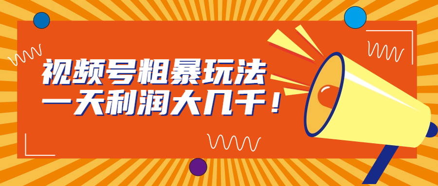 视频号粗暴玩法，一天利润大几千！-天行资源库