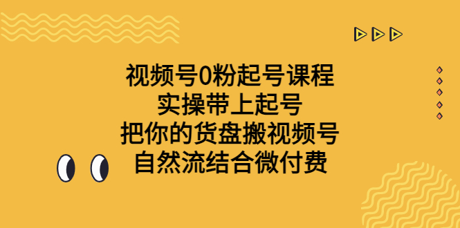 视频号0粉起号课程 实操带上起号 把你的货盘搬视频号 自然流结合微付费-天行资源库