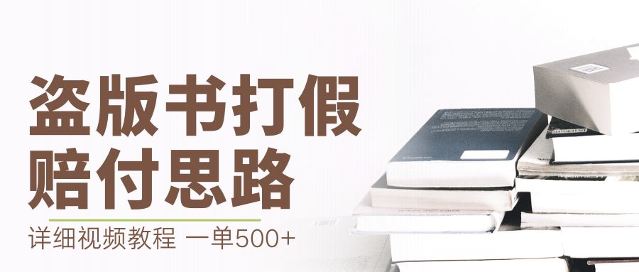 最新盗版书赔付打假项目，一单利润500+【详细玩法视频教程】-天行资源库