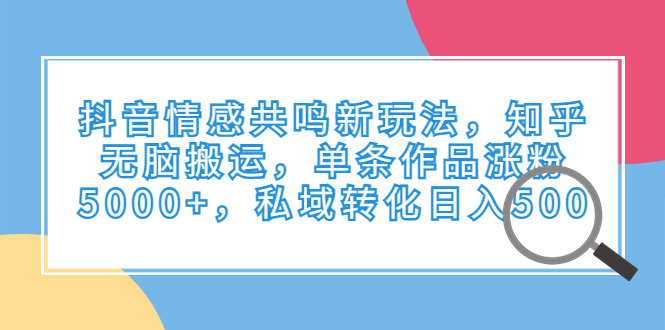 抖音情感共鸣新玩法，知乎无脑搬运，单条作品涨粉5000+，私域转化日入500-天行资源库