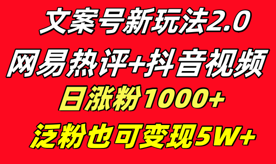 文案号新玩法 网易热评+抖音文案 一天涨粉1000+ 多种变现模式 泛粉也可变现-天行资源库