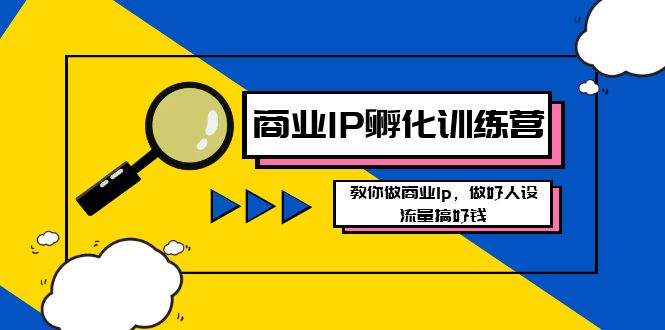 商业IP-孵化训练营新版，教你做商业Ip，做好人设，流量搞好钱-天行资源库