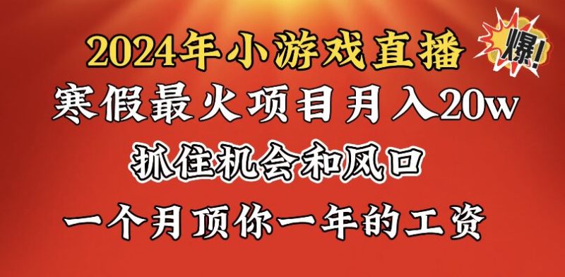 2024年寒假爆火项目，小游戏直播月入20w+，学会了之后你将翻身-天行资源库