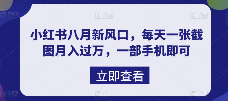八月新风口，小红书虚拟项目一天收入1000+，实战揭秘-天行资源库