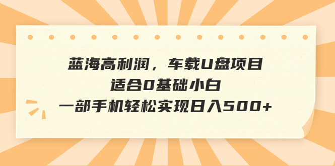 蓝海高利润，车载U盘项目，适合0基础小白，一部手机轻松实现日入500+-天行资源库
