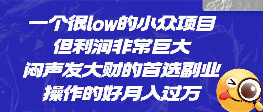 一个很low的小众项目，但利润非常巨大，闷声发大财的首选副业，月入过万-天行资源库