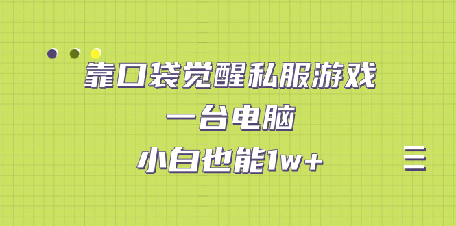 靠口袋觉醒私服游戏，一台电脑，小白也能1w+（教程+工具+资料）-天行资源库