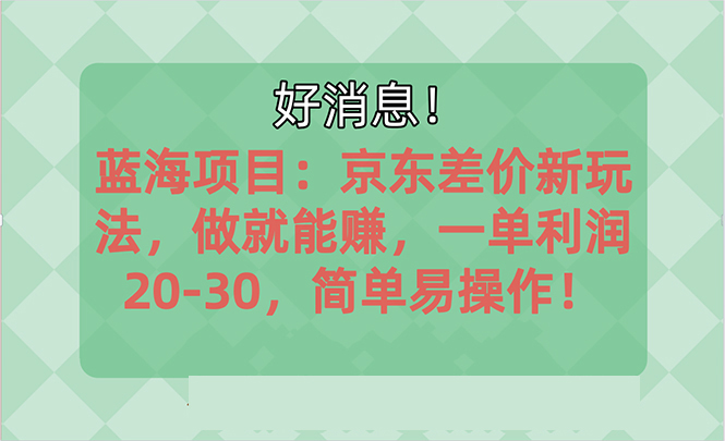 越早知道越能赚到钱的蓝海项目：京东大平台操作，一单利润20-30，简单易操作-天行资源库