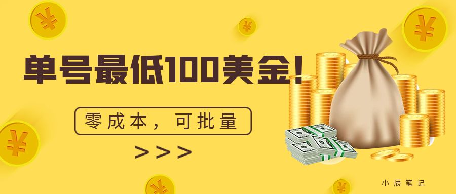 单号最低100美金，零成本，小白无脑操作。可复制，可扩大。-天行资源库