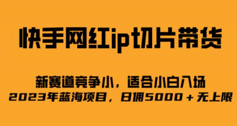 快手网红ip切片新赛道，竞争小事，适合小白 2023蓝海项目-天行资源库