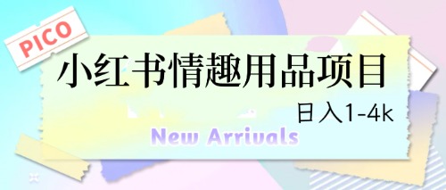 最新小红书情趣用品项目，日入1-4k-天行资源库