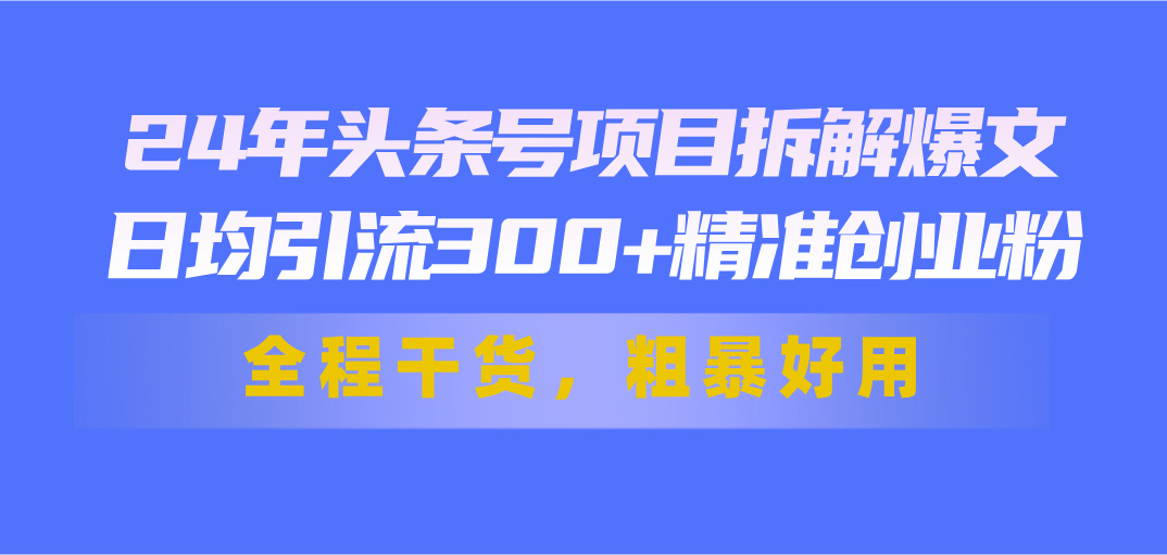 24年头条号项目拆解爆文，日均引流300+精准创业粉，全程干货，粗暴好用-天行资源库