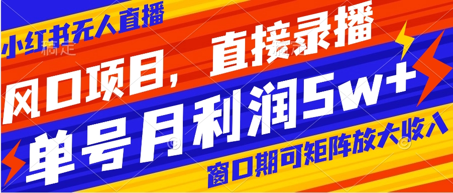 风口项目，小红书无人直播带货，直接录播，可矩阵，月入5w+-天行资源库