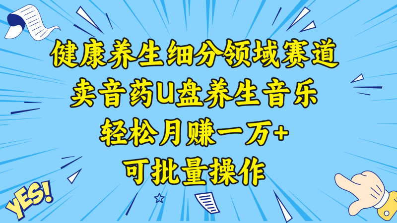 健康养生细分领域赛道，卖音药U盘养生音乐，轻松月赚一万+，可批量操作-天行资源库