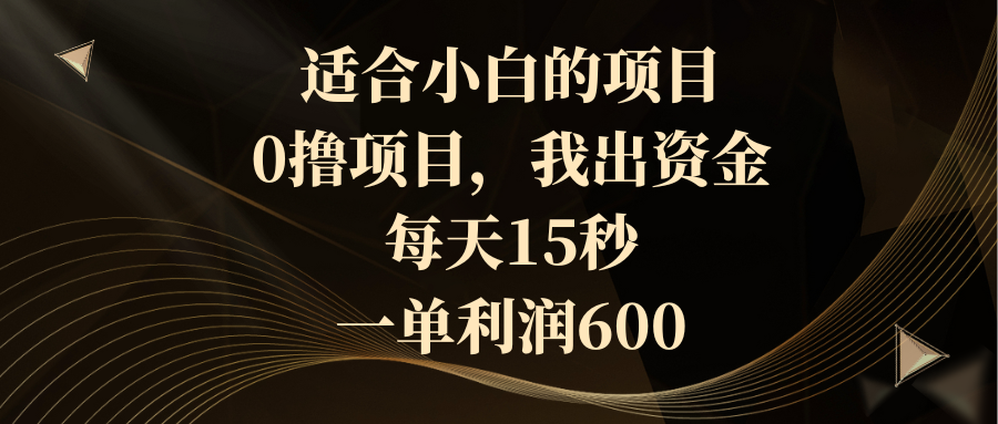 适合小白的项目，0撸项目，我出资金，每天15秒，一单利润600-天行资源库