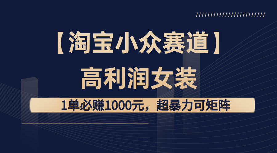 【淘宝小众赛道】高利润女装：1单必赚1000元，超暴力可矩阵-天行资源库