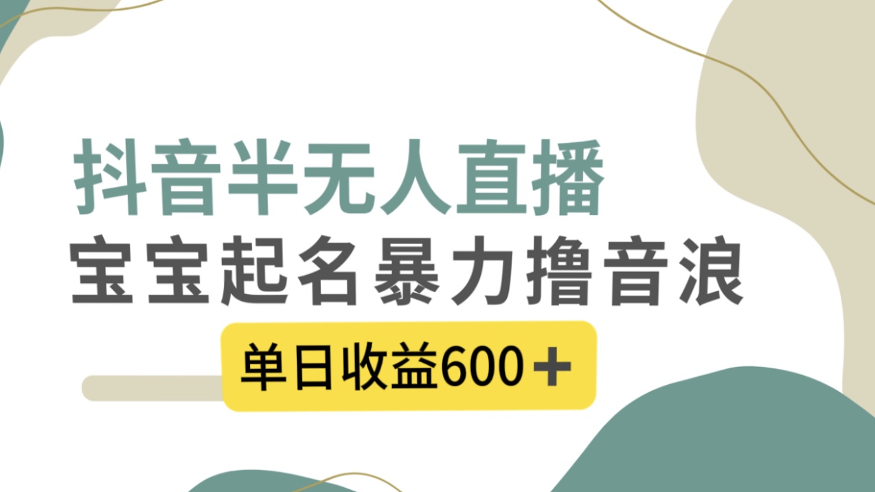 抖音半无人直播，宝宝起名，暴力撸音浪，单日收益600+-天行资源库