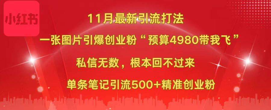 小红书11月最新图片打法，一张图片引爆创业粉“预算4980带我飞”，私信无数，根本回不过来，单条笔记引流500+精准创业粉-天行资源库