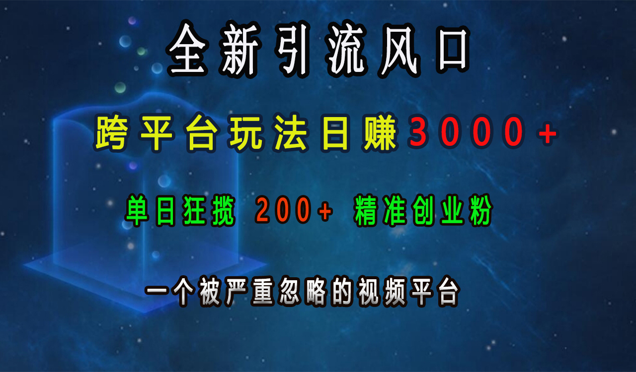 全新引流风口，跨平台玩法日赚3000+，单日狂揽200+精准创业粉，一个被严重忽略的视频平台-天行资源库
