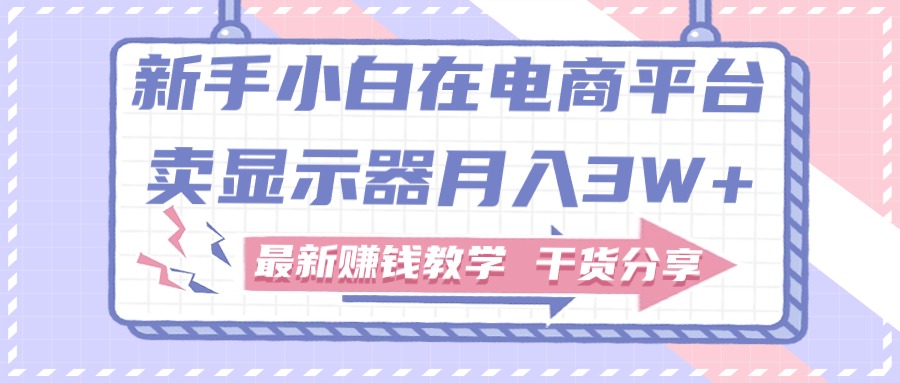 新手小白如何做到在电商平台卖显示器月入3W，最新赚钱教学干货-天行资源库