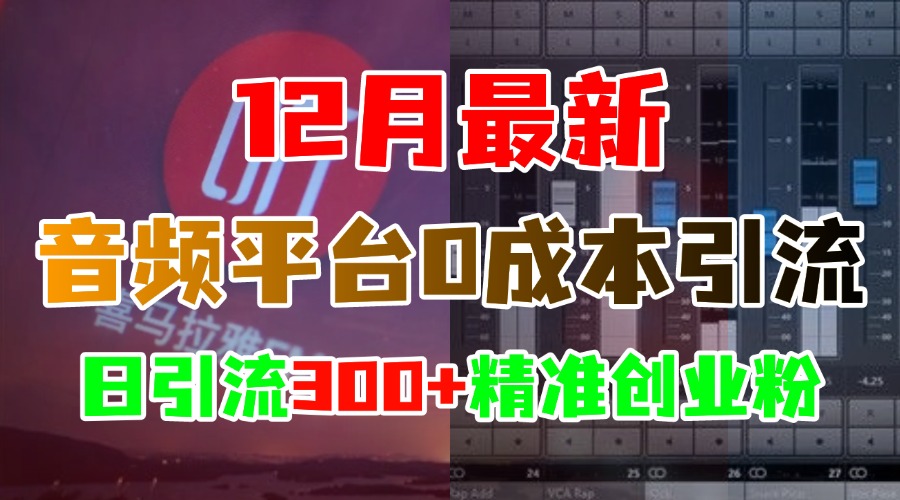 12月最新：音频平台0成本引流，日引300+精准创业粉-天行资源库