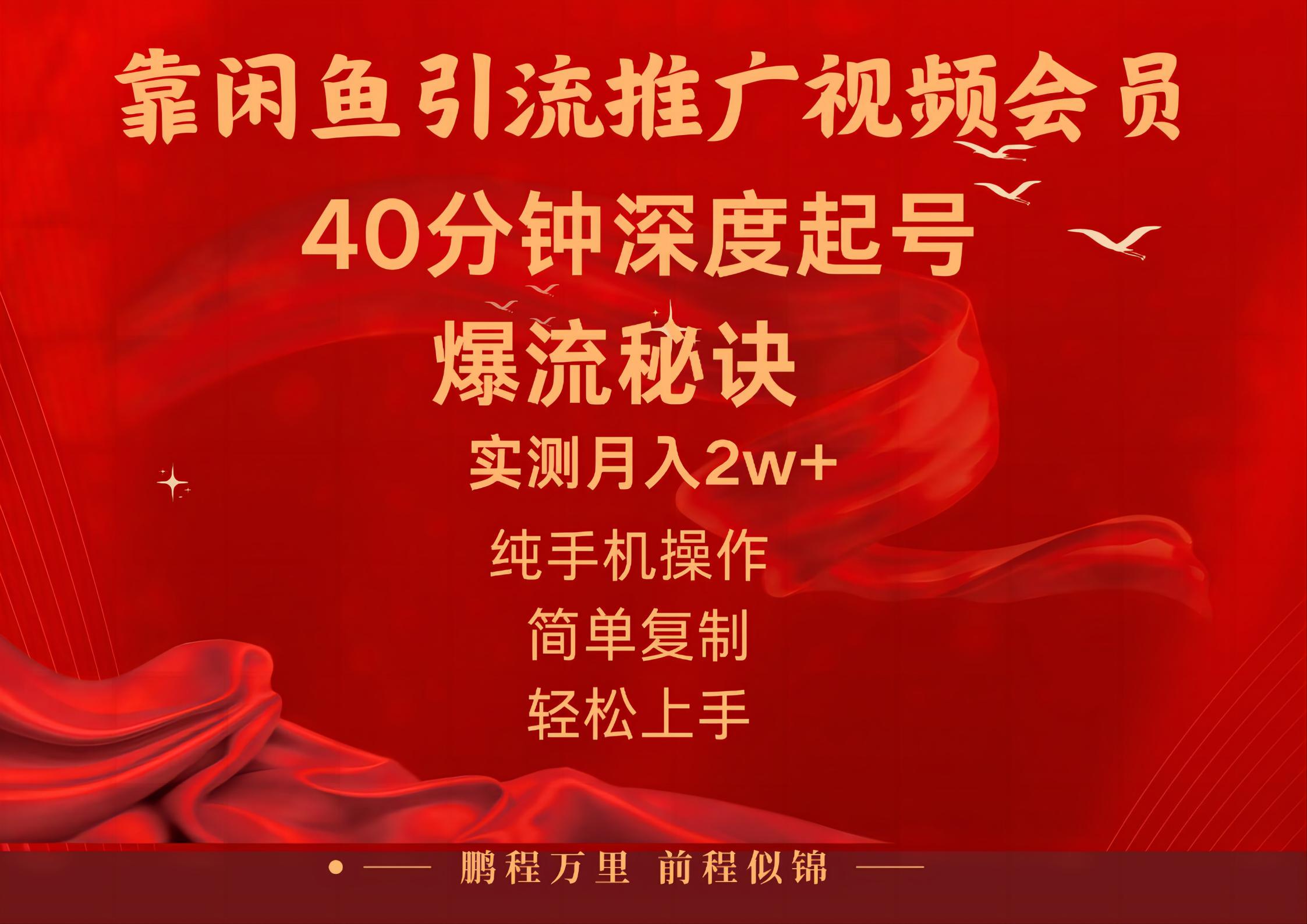 闲鱼暴力引流推广视频会员，能做到日入2W+，操作简单-天行资源库