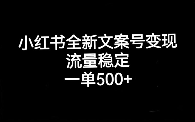 小红书全新文案号变现，流量稳定，一单收入500+-天行资源库