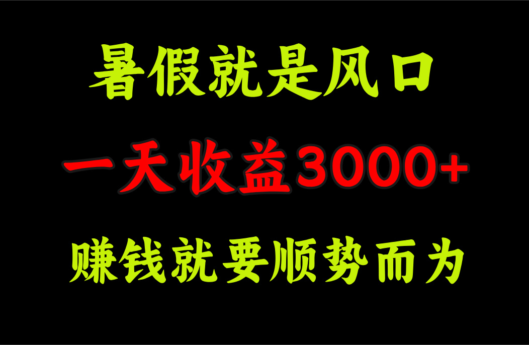 一天收益3000+ 赚钱就是顺势而为，暑假就是风口-天行资源库