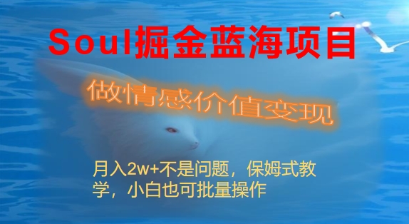 Soul掘金蓝海项目细分赛道，做情感价值变现，月入2w+不是问题-天行资源库