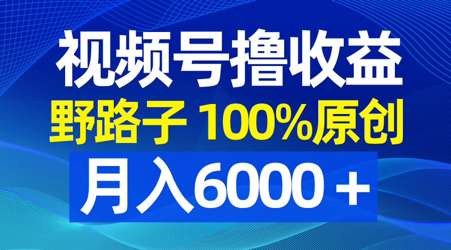 视频号野路子撸收益，100%原创，条条爆款，月入6000＋-天行资源库