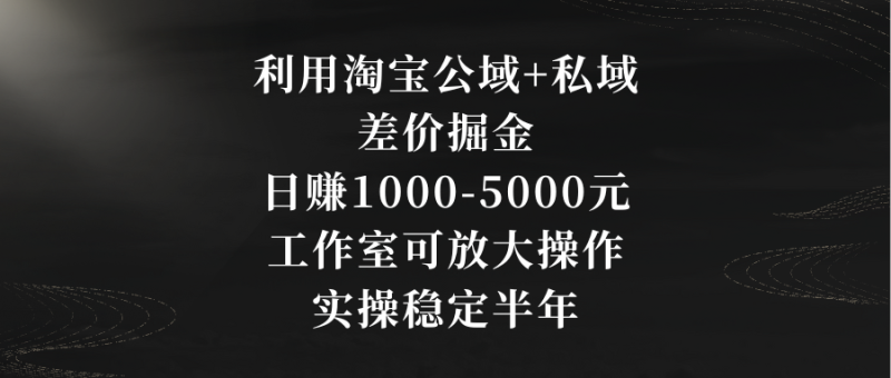 利用淘宝公域+私域差价掘金，日赚1000-5000元，工作室可放大操作，实操…-天行资源库