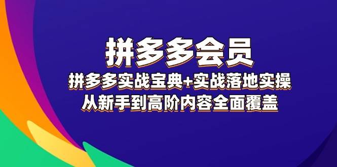 拼多多 会员，拼多多实战宝典+实战落地实操，从新手到高阶内容全面覆盖-天行资源库