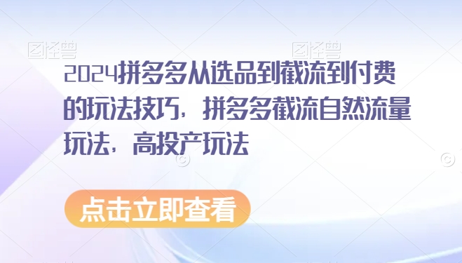 2024拼多多从选品到截流到付费的玩法技巧，拼多多截流自然流量玩法，高投产玩法-天行资源库