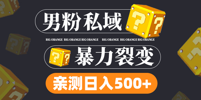 男粉项目，一个作品变现1000+，新渠道新玩法，一部手机实现月入过万-天行资源库