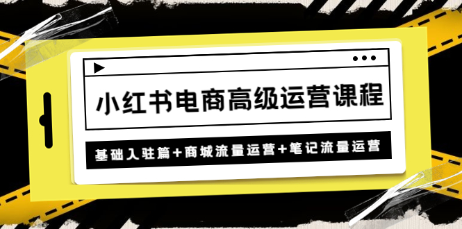 小红书电商高级运营课程：基础入驻篇+商城流量运营+笔记流量运营-天行资源库