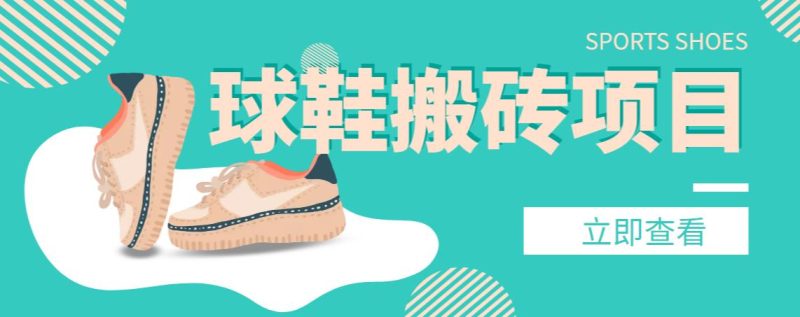 【搬砖必备】外面收费998的球鞋搬砖项目，月入轻松5000+的项目案例解析-天行资源库