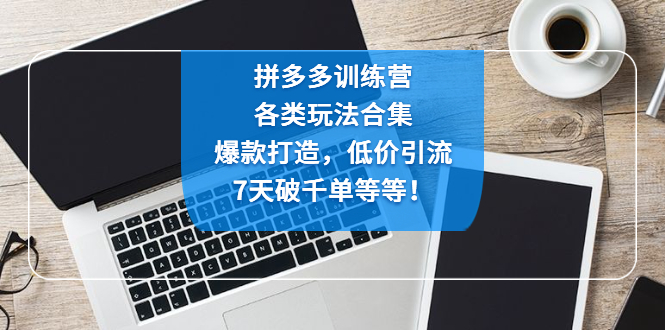 拼多多训练营：各玩法合集，爆款打造，低价引流，7天破千单等等！-天行资源库
