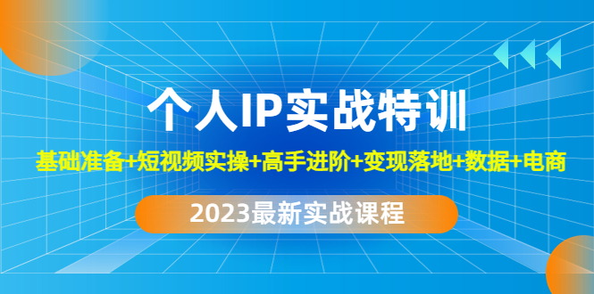 2023个人IP实战特训：基础准备+短视频实操+高手进阶+变现落地+数据+电商-天行资源库