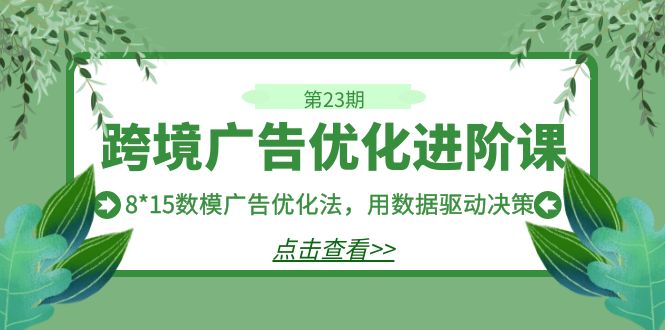 跨境广告·优化进阶课·第23期，8*15数模广告优化法，用数据驱动决策-天行资源库