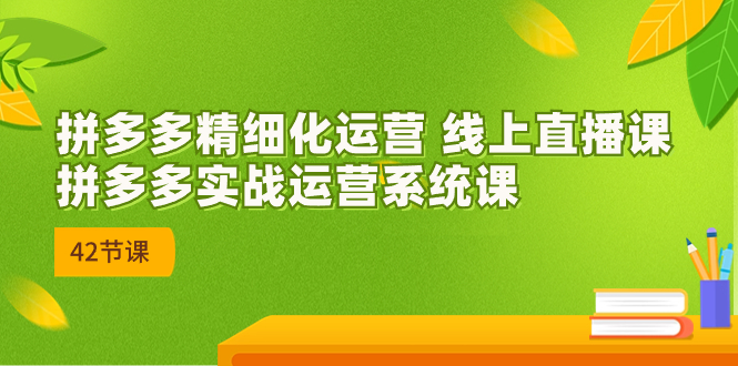 2023年8月新课-拼多多精细化运营 线上直播课：拼多多实战运营系统课-42节-天行资源库