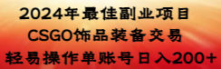 2024年最佳副业项目 CSGO饰品装备交易 轻易操作单账号日入200+-天行资源库