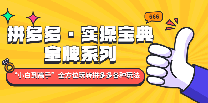拼多多·实操宝典：金牌系列“小白到高手”带你全方位玩转拼多多各种玩法-天行资源库
