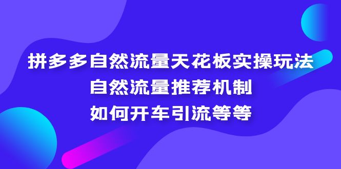 拼多多自然流量天花板实操玩法：自然流量推荐机制，如何开车引流等等-天行资源库